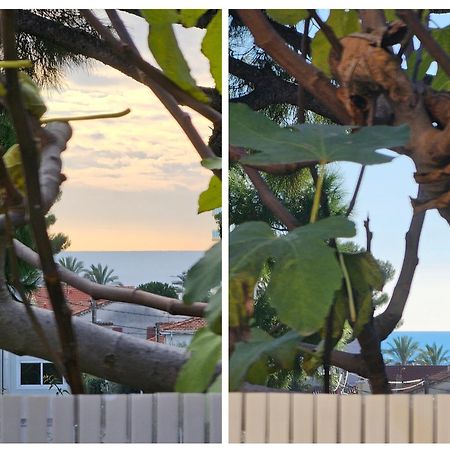 Detente Oceane S2 Proche De La Mer Wifi Clim Cagnes-sur-Mer Eksteriør billede